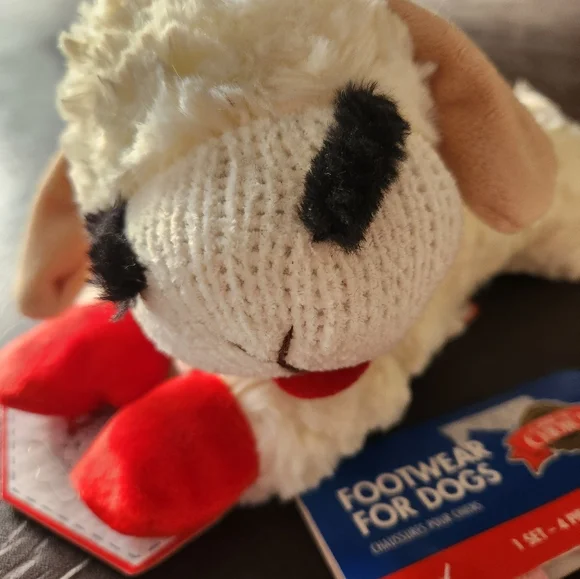 Small Dog Bundle - Picture 4 of 7